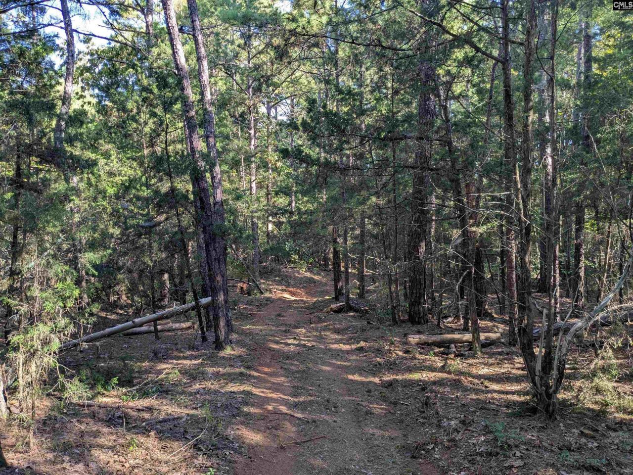 0 Lakeview Drive  Photo 17