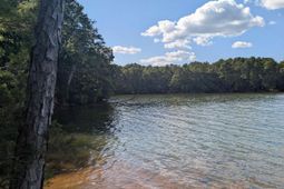 0 Lakeview Drive  photo 4