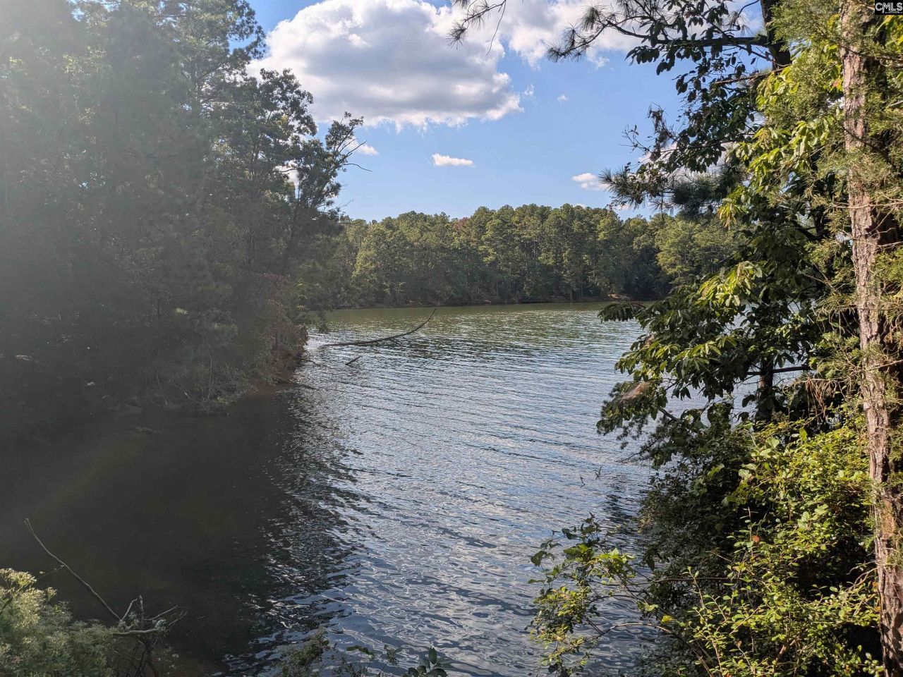 0 Lakeview Drive  Photo 5