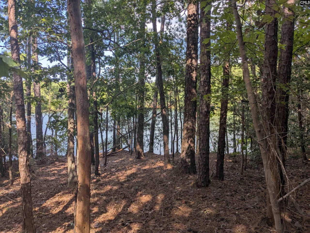 0 Lakeview Drive  Photo 6