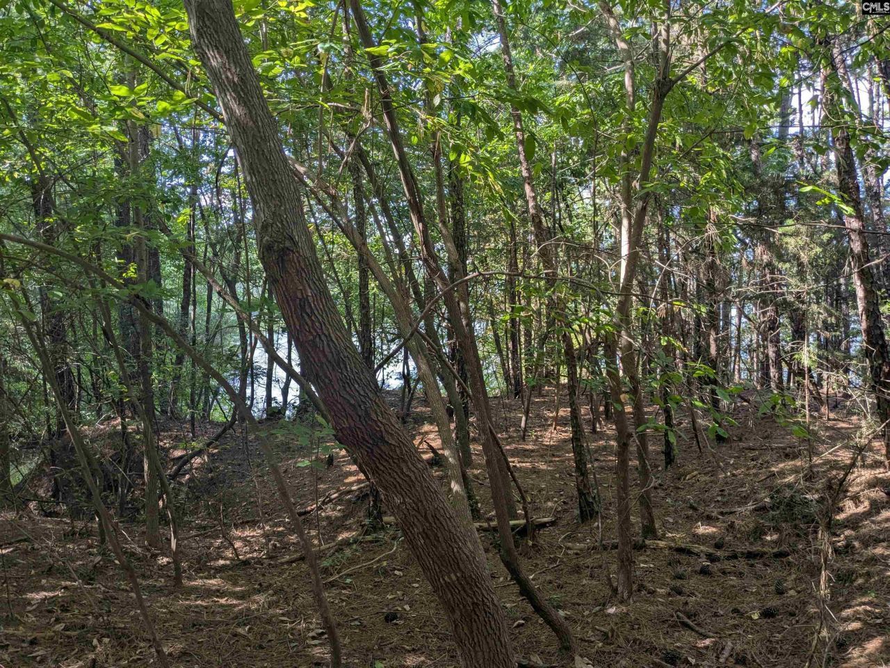 0 Lakeview Drive  Photo 8