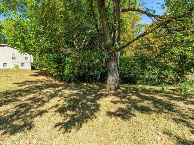 2639 Panhandle Road, Delaware, OH 43015 Photo 6