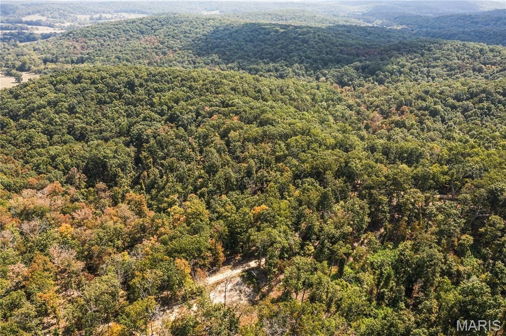 0 Bcr 300, Marble Hill, MO 63764 Main Photo