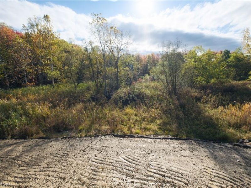 950-4 Memory Lane, Aurora, OH 44202 Photo 23