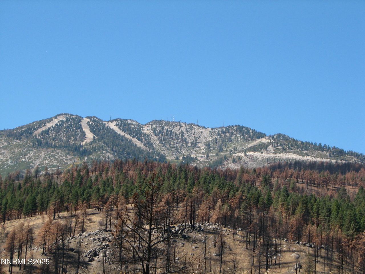 0 Joy Lake Road, Washoe Valley, NV 89704 Photo