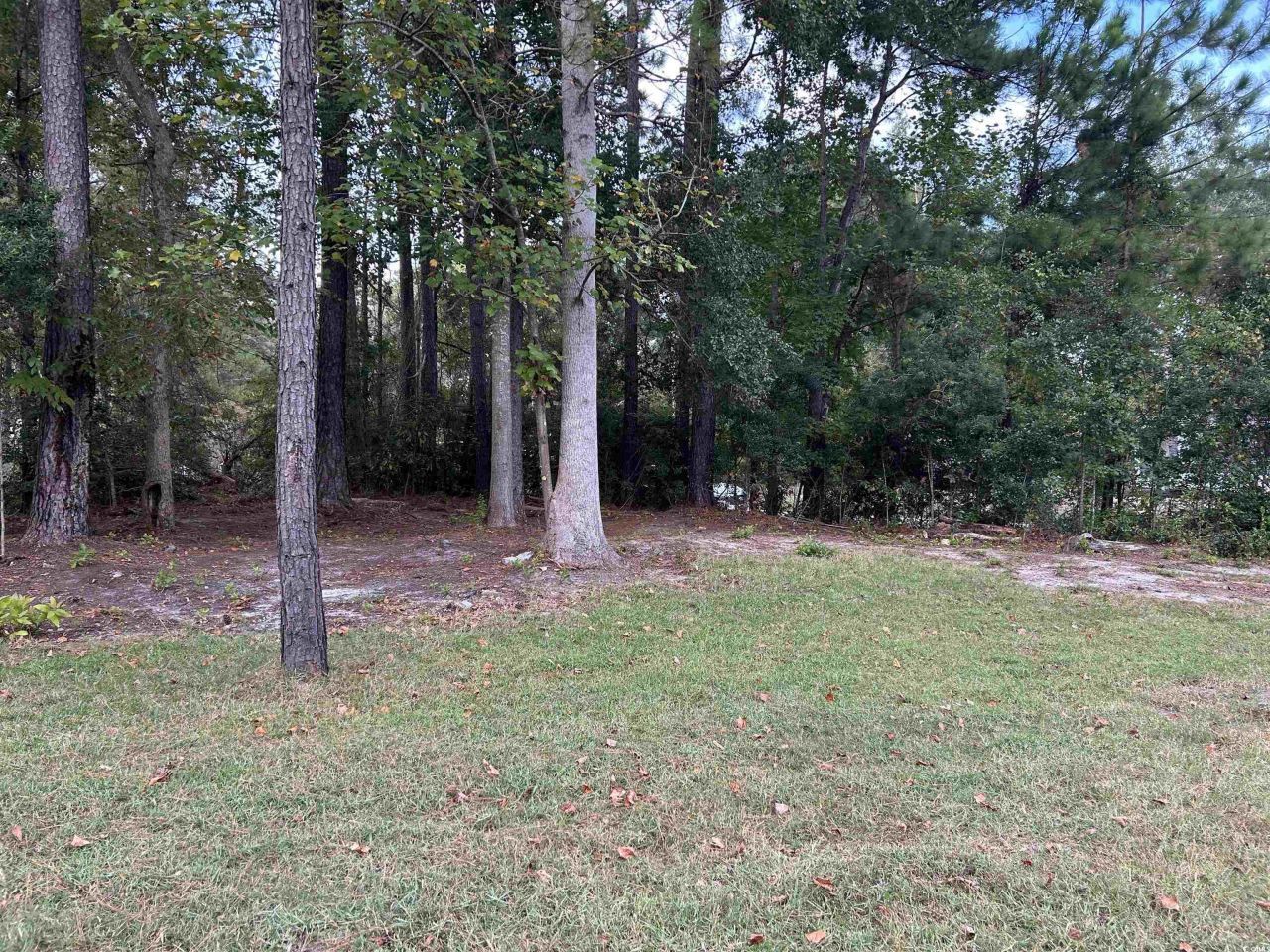 1194 Rainbow Dr. Photo 19