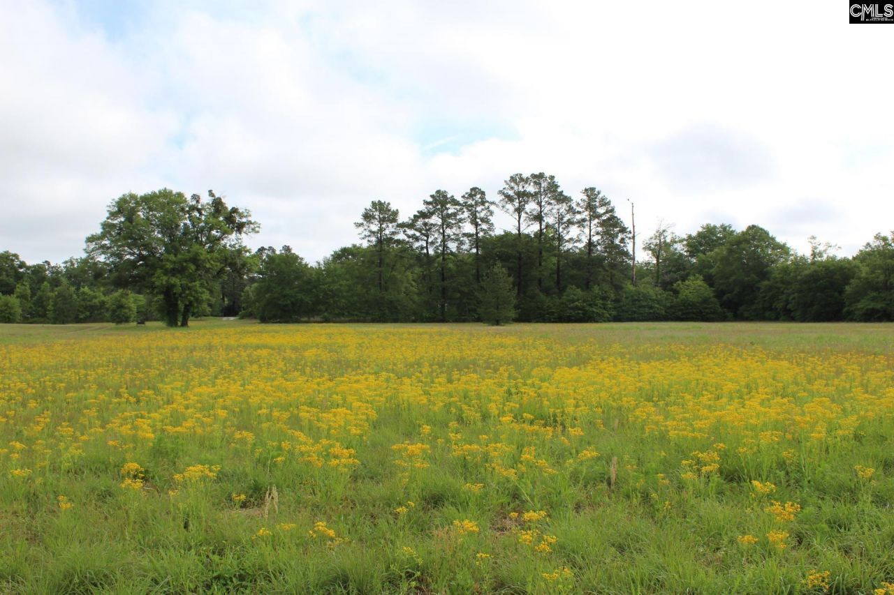 2901 Bethune Road Photo 34