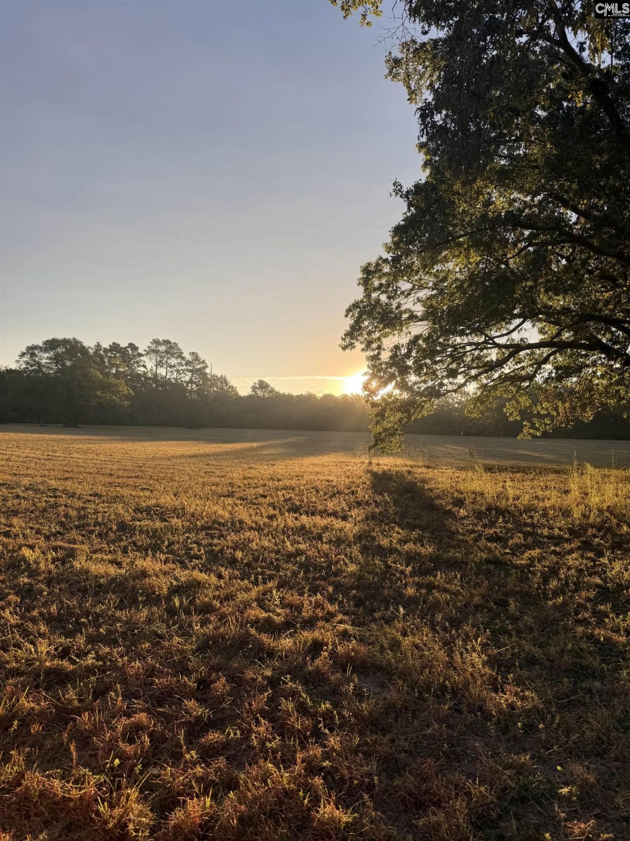 2901 Bethune Road Photo 49