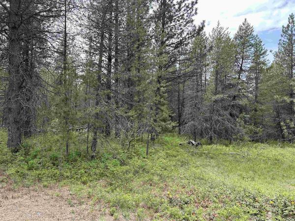 xxx N Division Rd, Deer Park, WA 99006