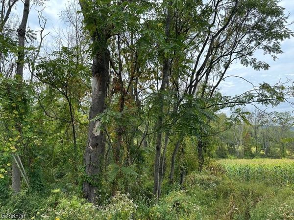 393 Mountain Lake Rd, Liberty, NJ 07838