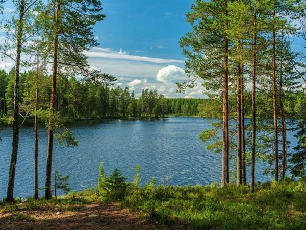 50 CR 3227 Lot 3, Mount Pleasant, TX 75455