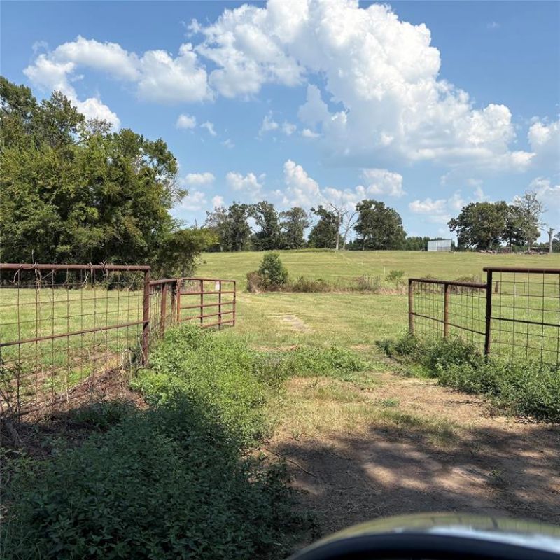 Tbd 35.394ac Cr1226 County Road 1226, Quitman, TX 75783 Main Photo