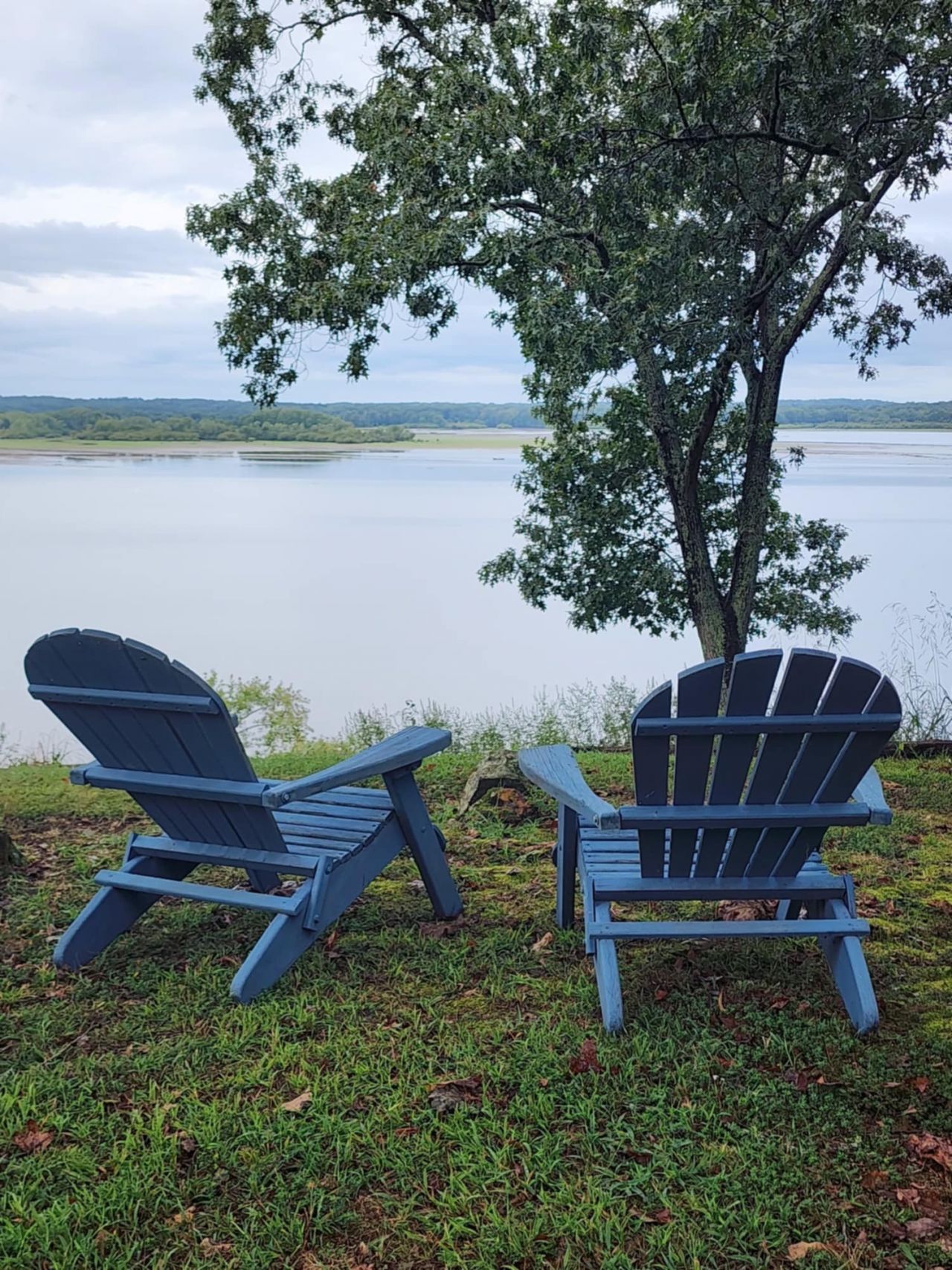 439 Bluff Rd, Big Sandy, TN 38221 Main Photo