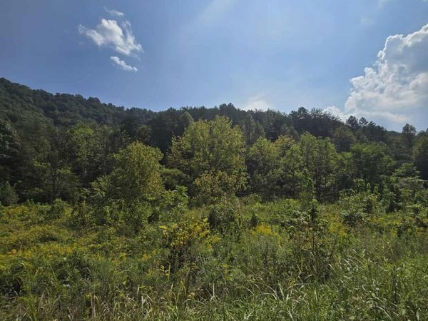 621 Butcher Valley Rd Rd, Rogersville, TN 37857