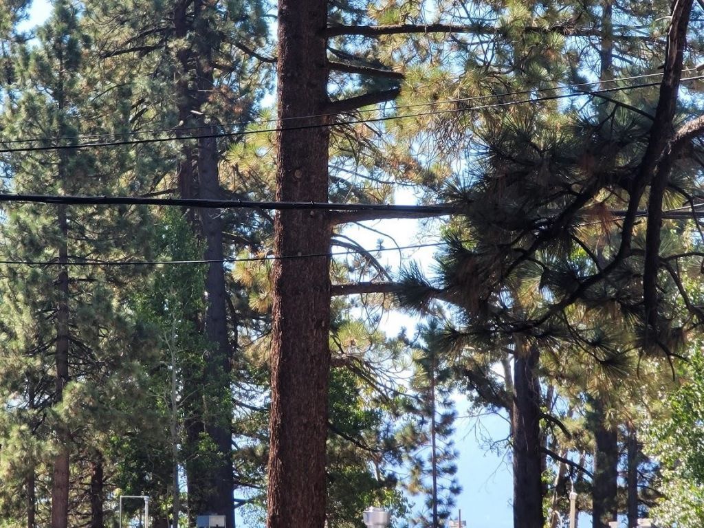 8075 Rainbow Avenue, Kings Beach, CA 96143 Photo