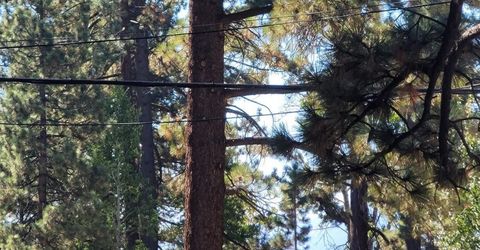 8075 Rainbow Avenue, Kings Beach, CA 96143 Photo