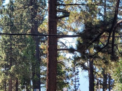 8075 Rainbow Avenue, Kings Beach, CA 96143 Photo