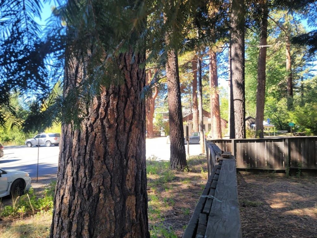 8075 Rainbow Avenue, Kings Beach, CA 96143 Photo