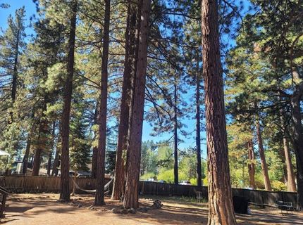 8075 Rainbow Avenue, Kings Beach, CA 96143 Photo