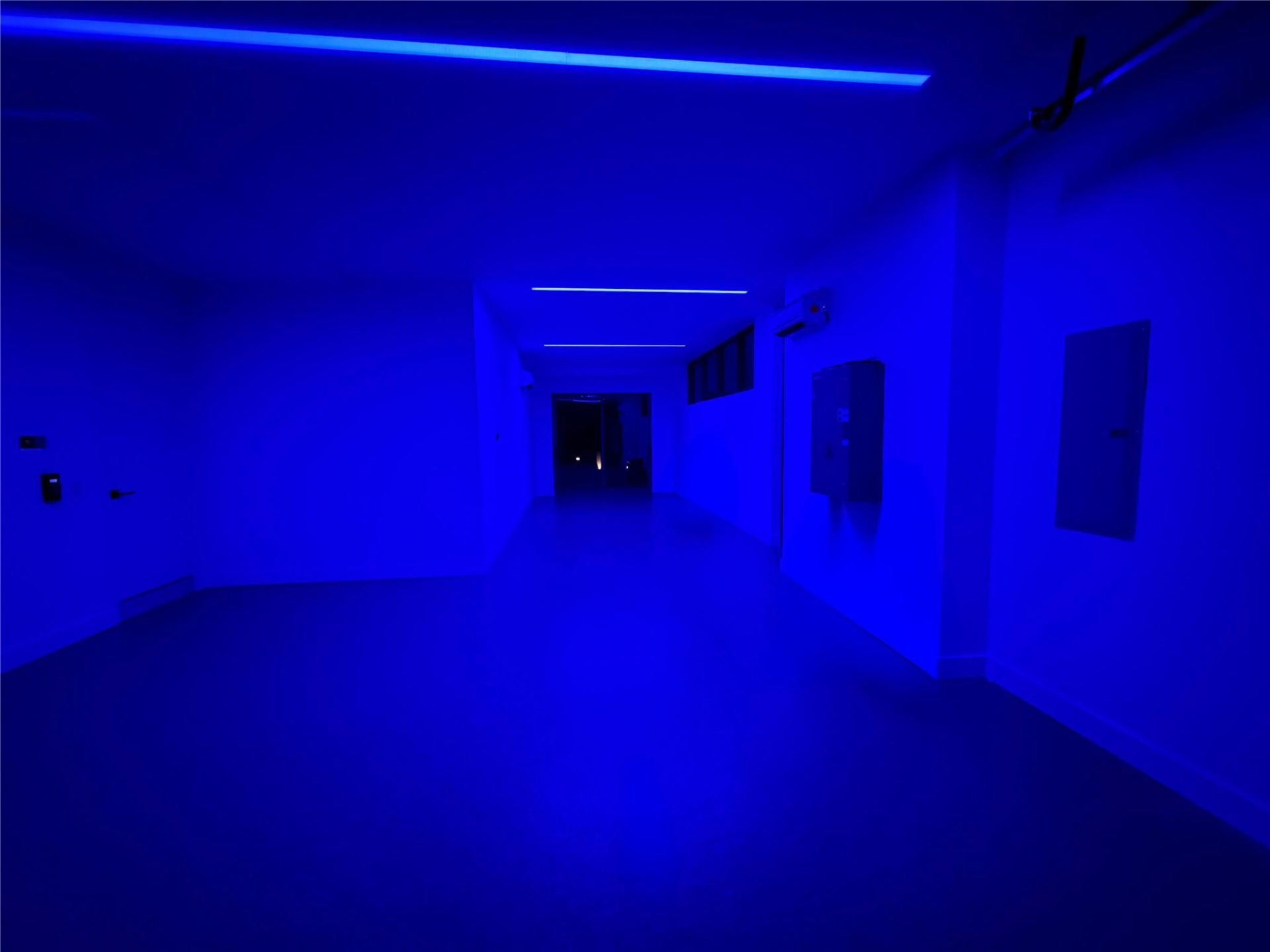 2880 NE 28th Street, Fort Lauderdale, FL 33306 Photo