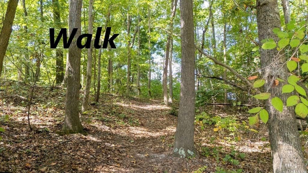 Tm26g-29 Black Stump Road, Weems, VA 22576 Main Photo