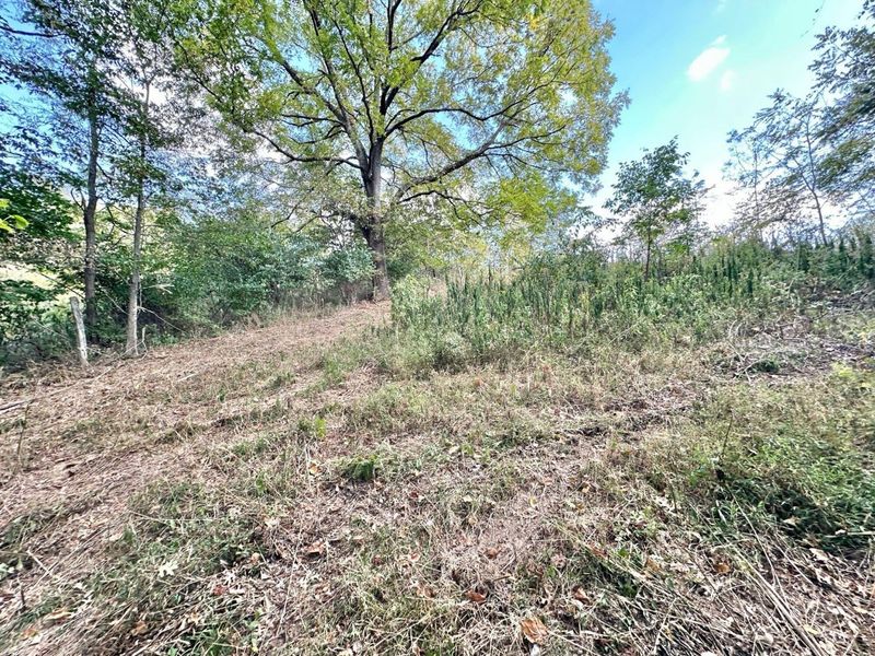 2524 US Highway 68, Ewing, KY 41039 Photo 18