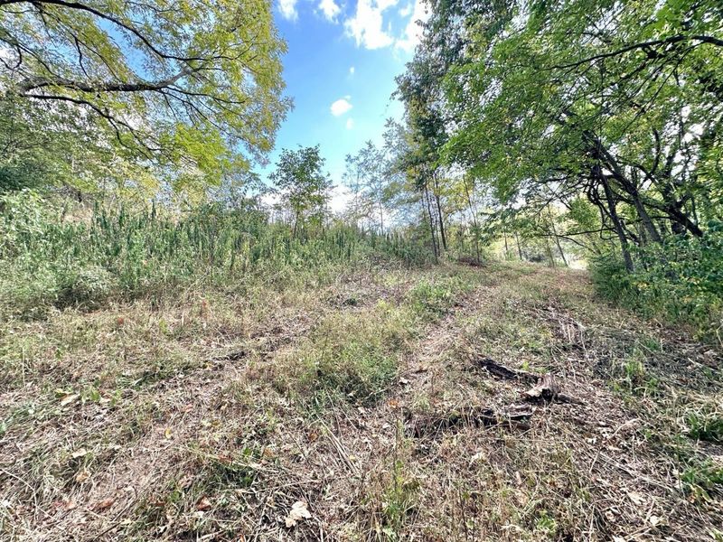 2524 US Highway 68, Ewing, KY 41039 Photo 21