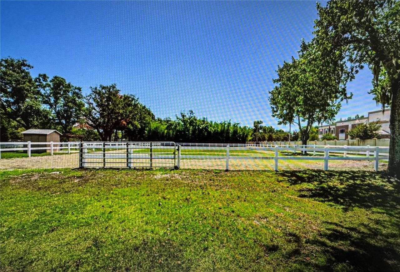 10502 Henderson Road, Tampa, FL 33625 Photo