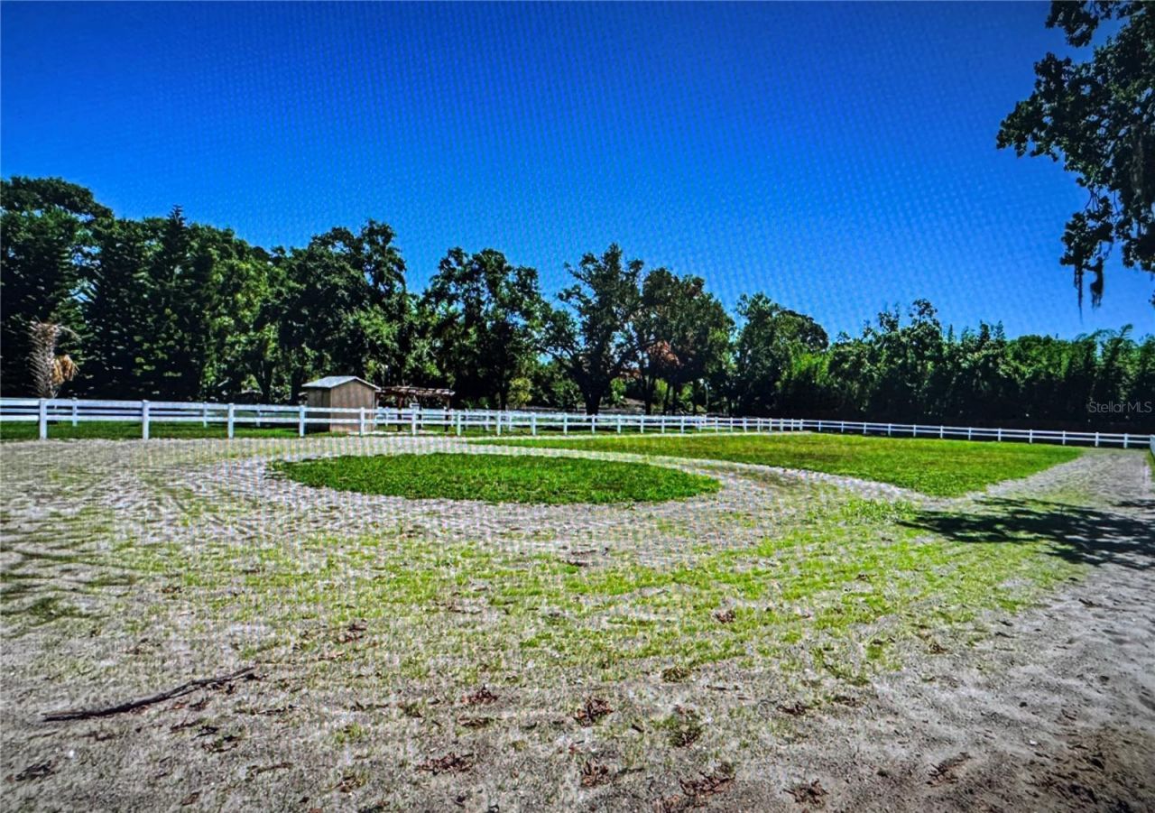 10502 Henderson Road, Tampa, FL 33625 Photo