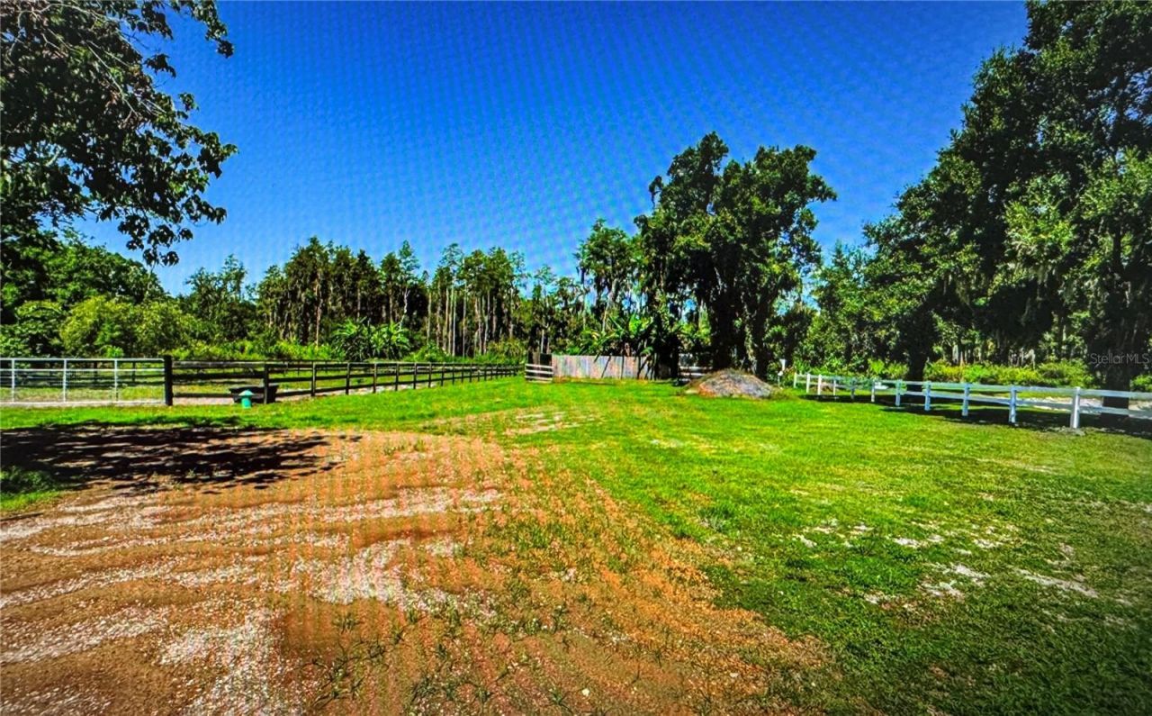 10502 Henderson Road, Tampa, FL 33625 Photo