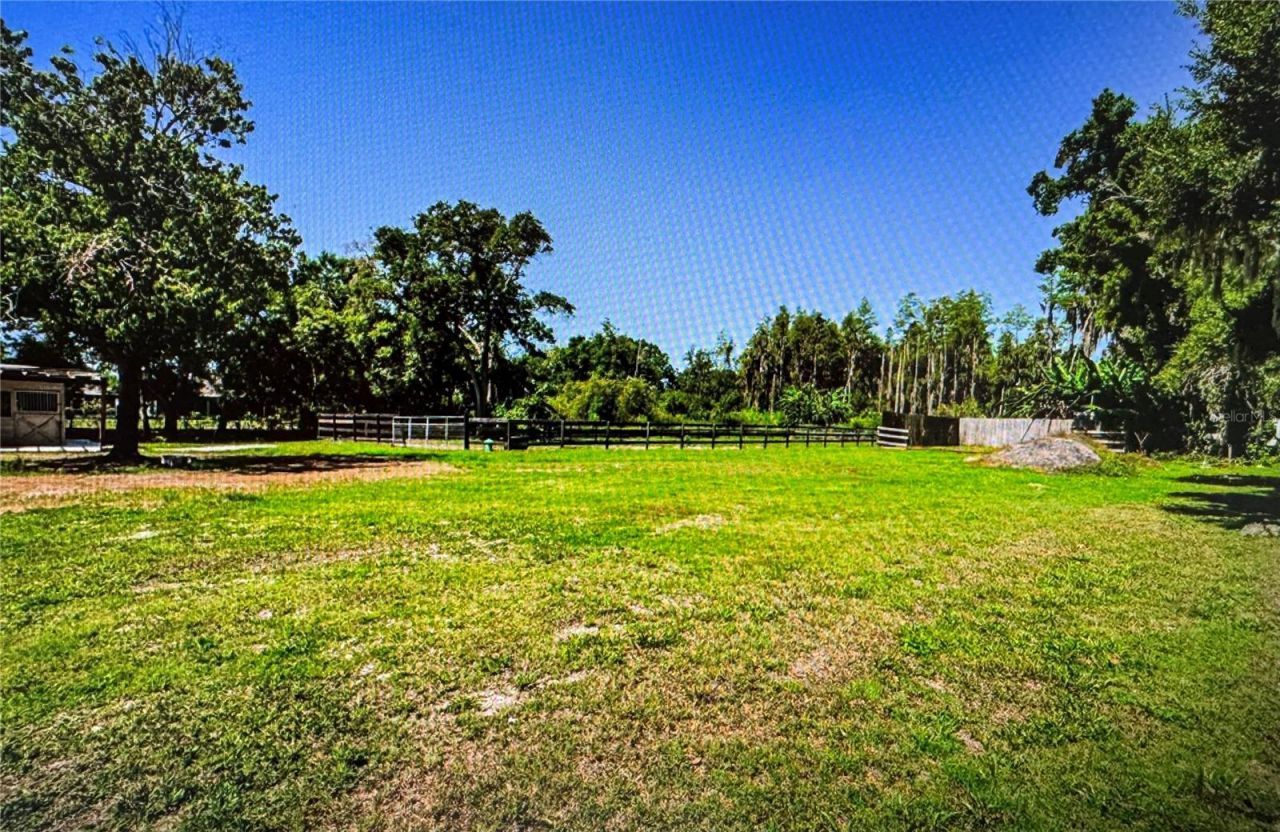 10502 Henderson Road, Tampa, FL 33625 Photo