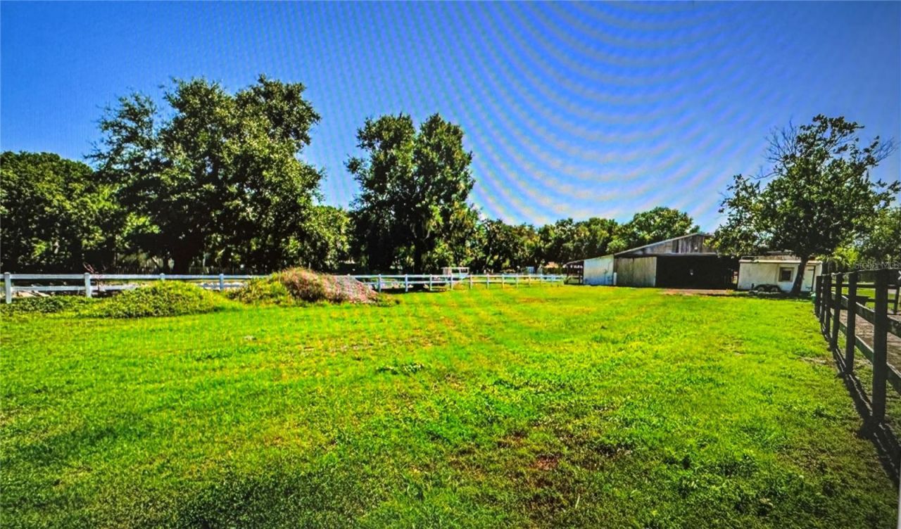 10502 Henderson Road, Tampa, FL 33625 Photo