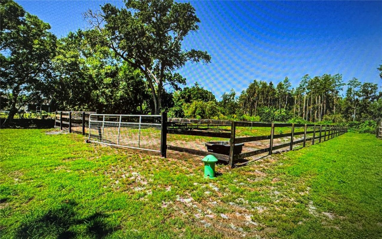 10502 Henderson Road, Tampa, FL 33625 Photo