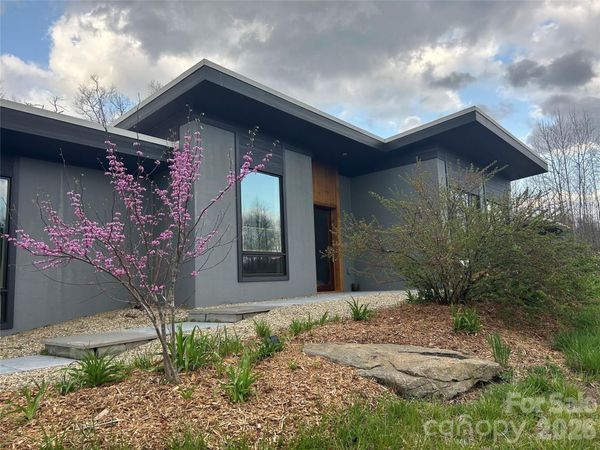 17 Fig Tree Lane, Asheville, NC 28803