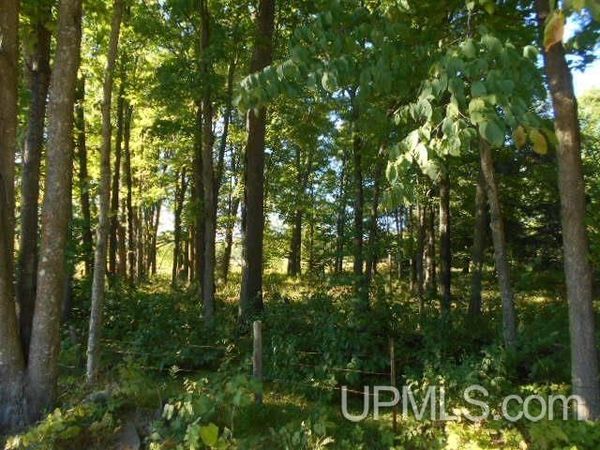 TBD Fire Lake Road, Crystal Falls Twp, MI 49920