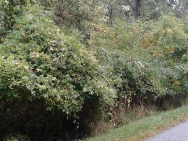 Sheffield Drive, Sheffield Lake, OH 44054