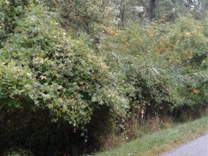 Sheffield Drive, Sheffield Lake, OH 44054 Photo 1
