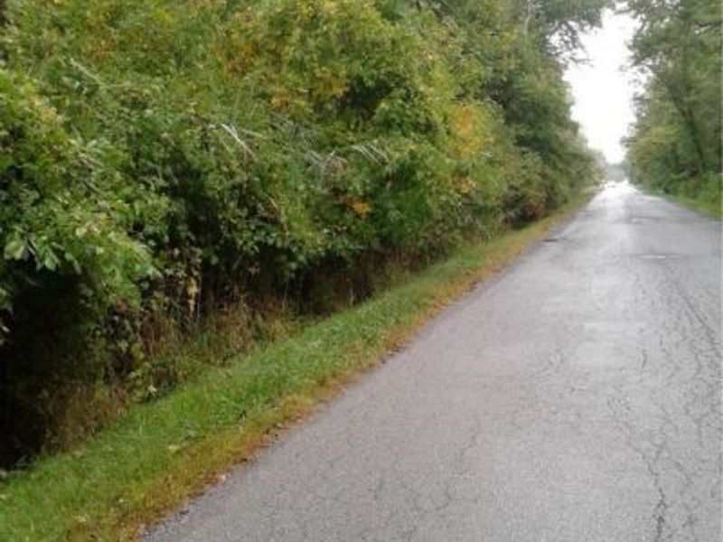 Sheffield Drive, Sheffield Lake, OH 44054 Photo 2