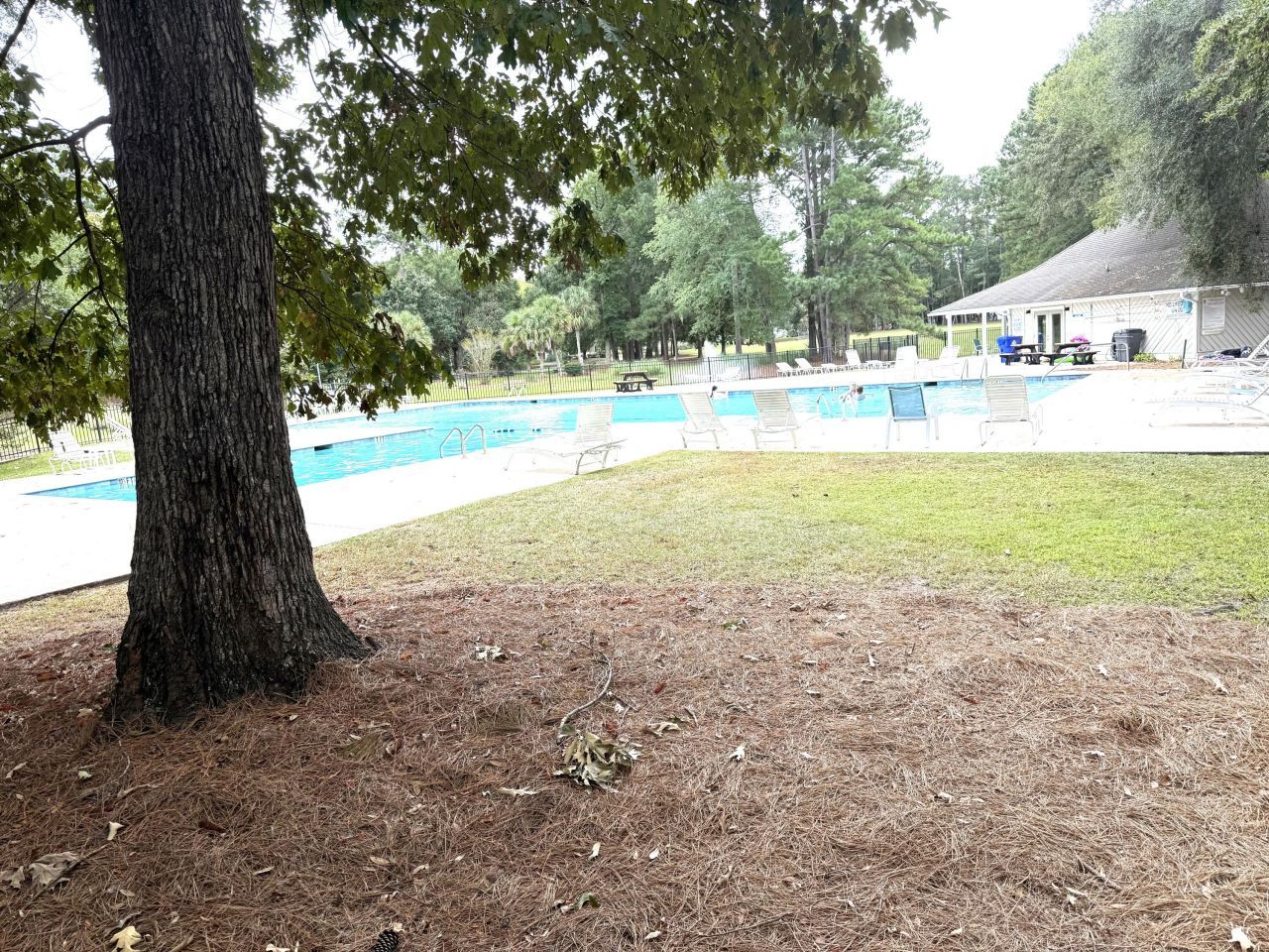 7945 Edgebrook Circle Photo 4