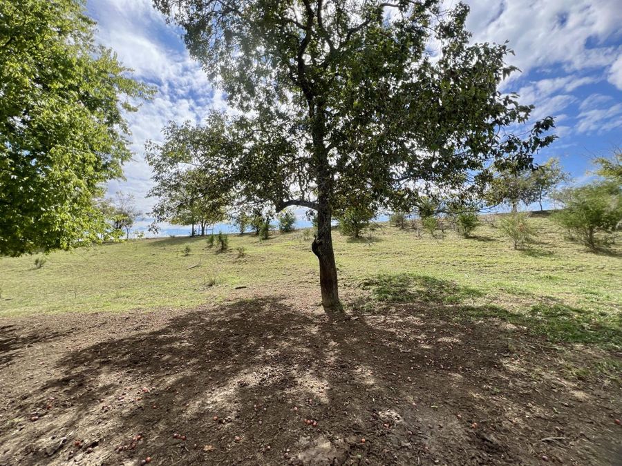 Property Image 103