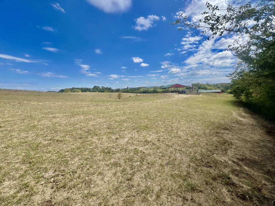 Property Image 43