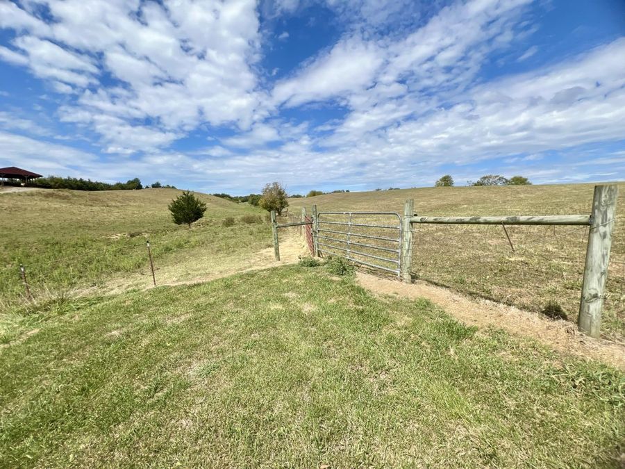 Property Image 79