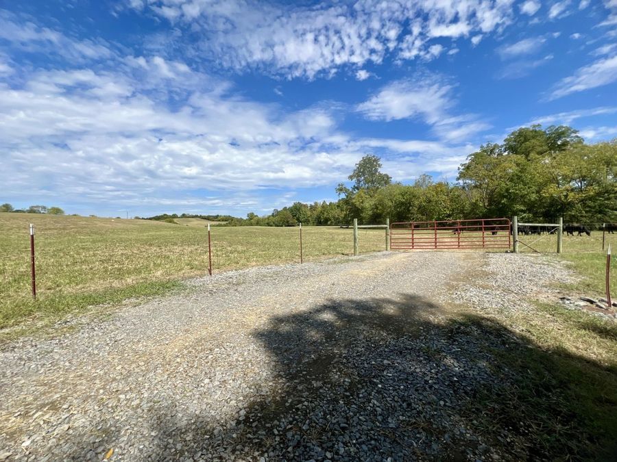 Property Image 82