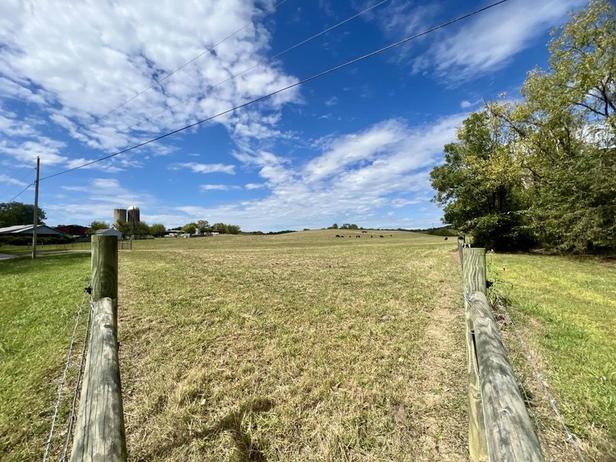 Property Image 87