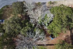 3658 Zacoma Drive photo 4