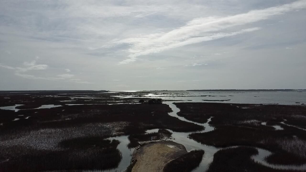 3658 Zacoma Drive Photo 8