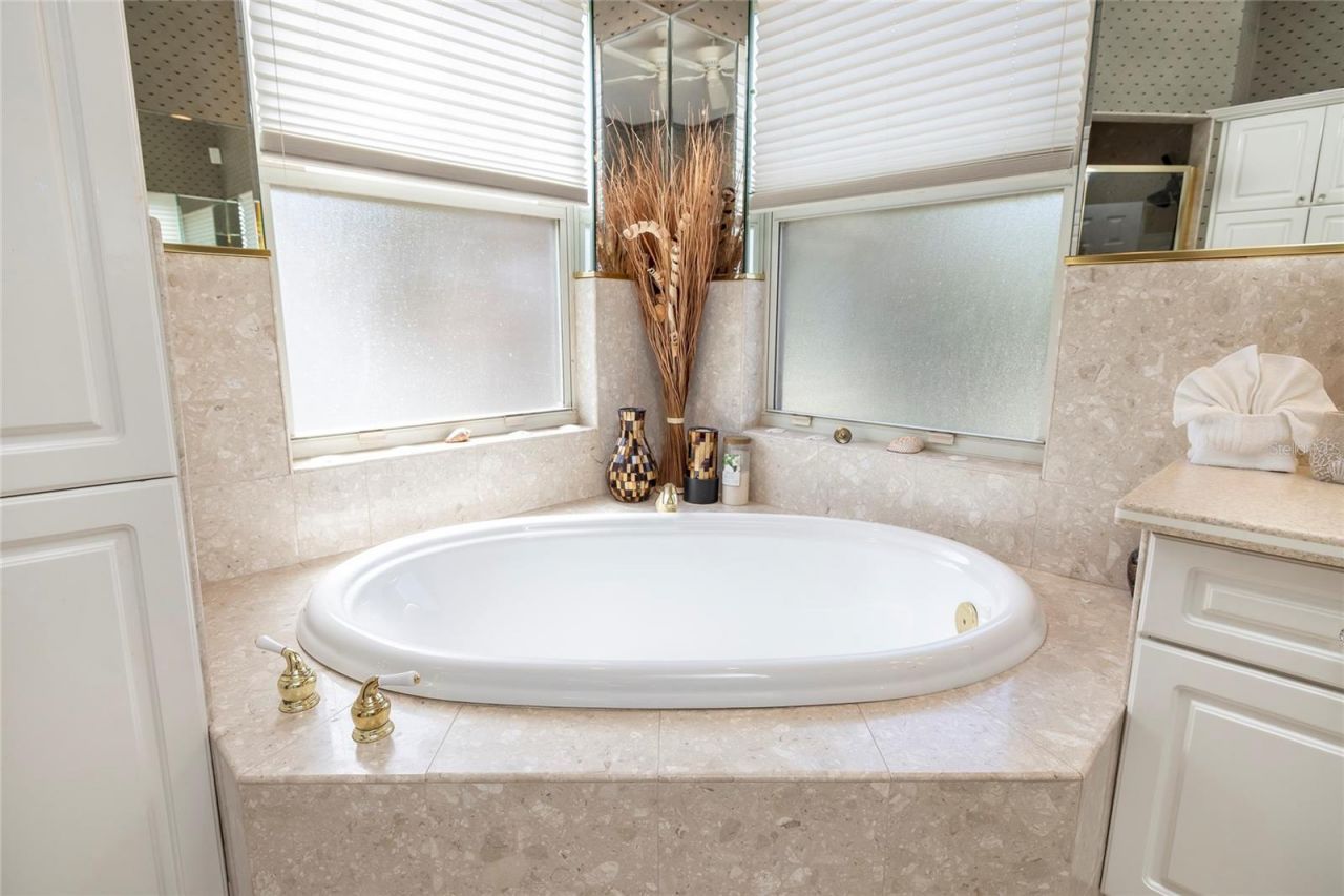 763 Jacqueline Lane, Palm Harbor, FL 34683 Photo