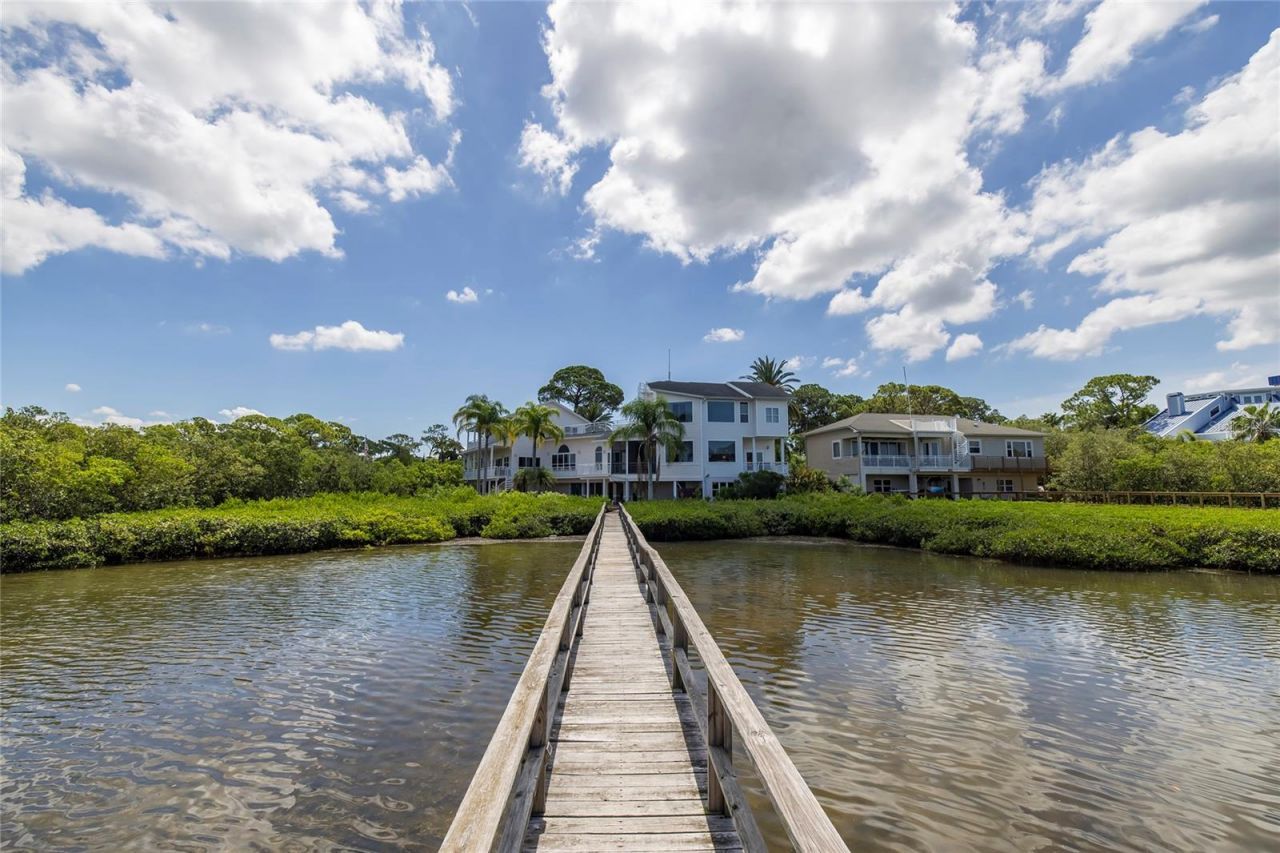 763 Jacqueline Lane, Palm Harbor, FL 34683 Photo