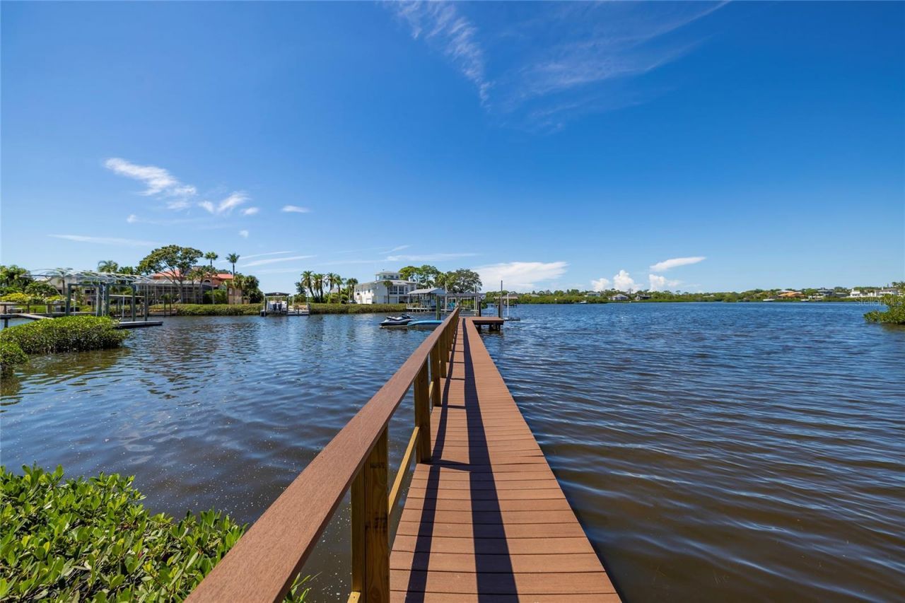 763 Jacqueline Lane, Palm Harbor, FL 34683 Photo