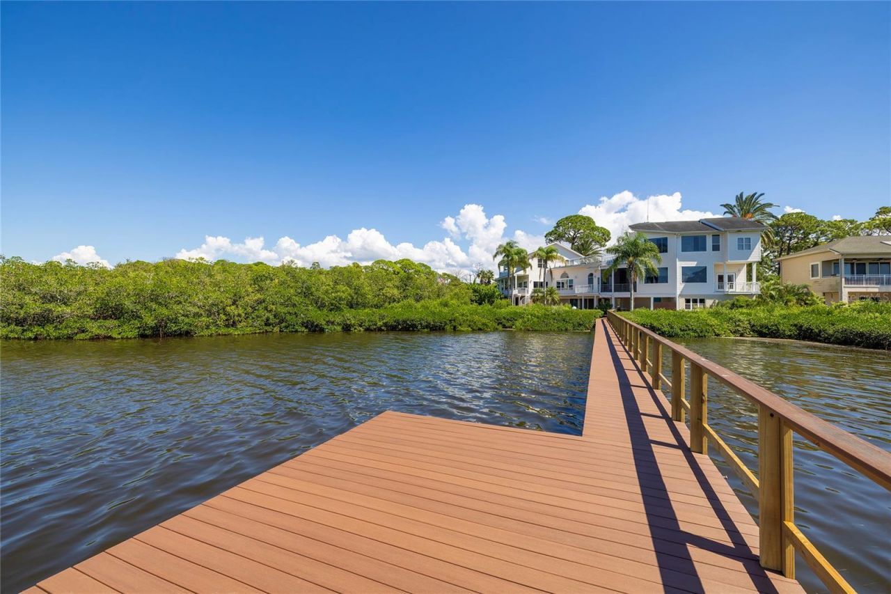 763 Jacqueline Lane, Palm Harbor, FL 34683 Photo